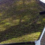 roof cleaning Witham