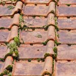 roof cleaning services in Thaxted